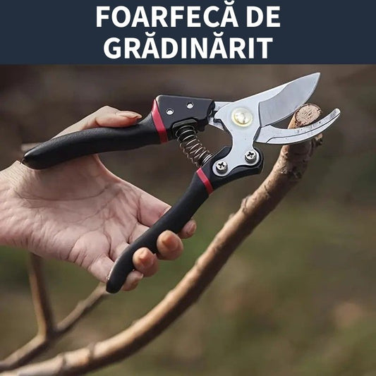Foarfecă de Grădinărit din Oțel